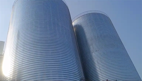 青秀2座混凝土高架卷板仓